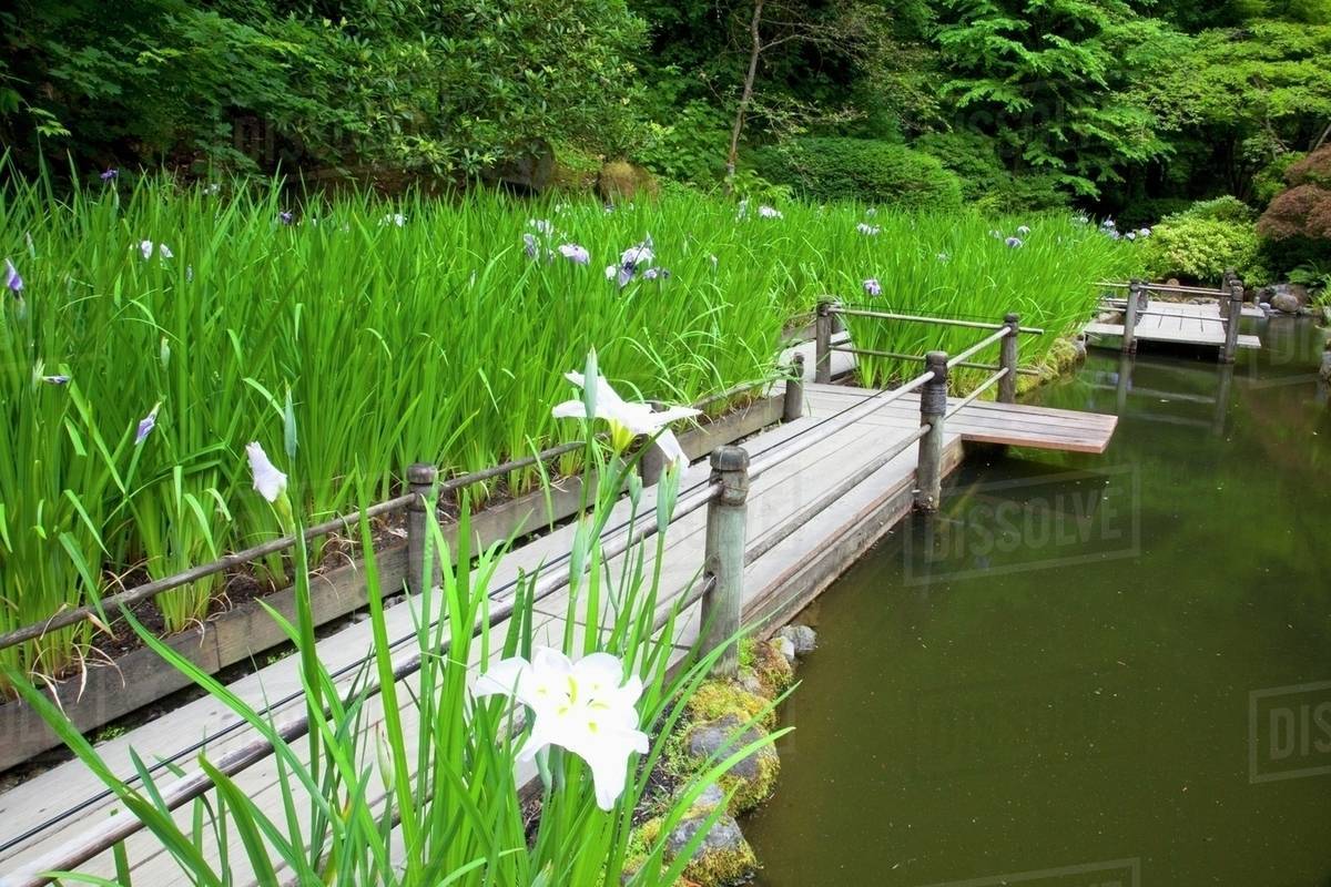 Portland, Oregon, United States Of America; Spring Flowers In Portland