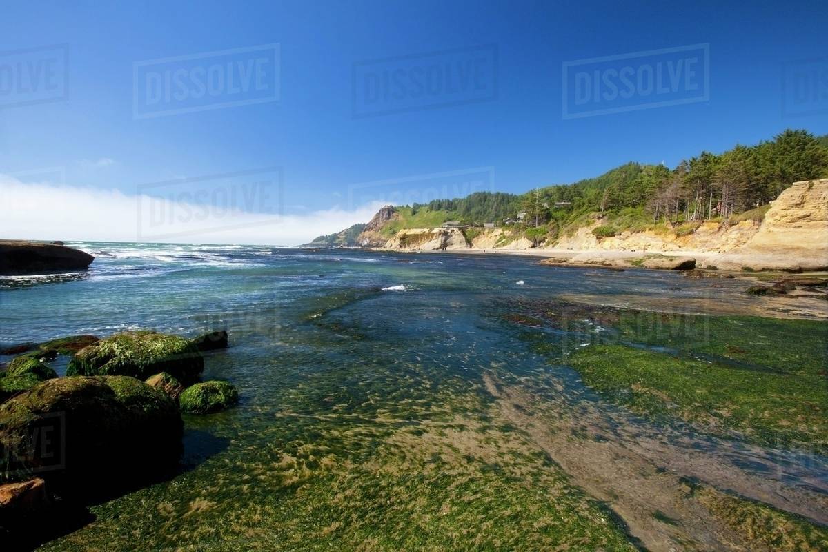 Otter Rock Beach Along The Oregon Coast United States Of Otter Rock Beach Along The Oregon Coast United States Of America