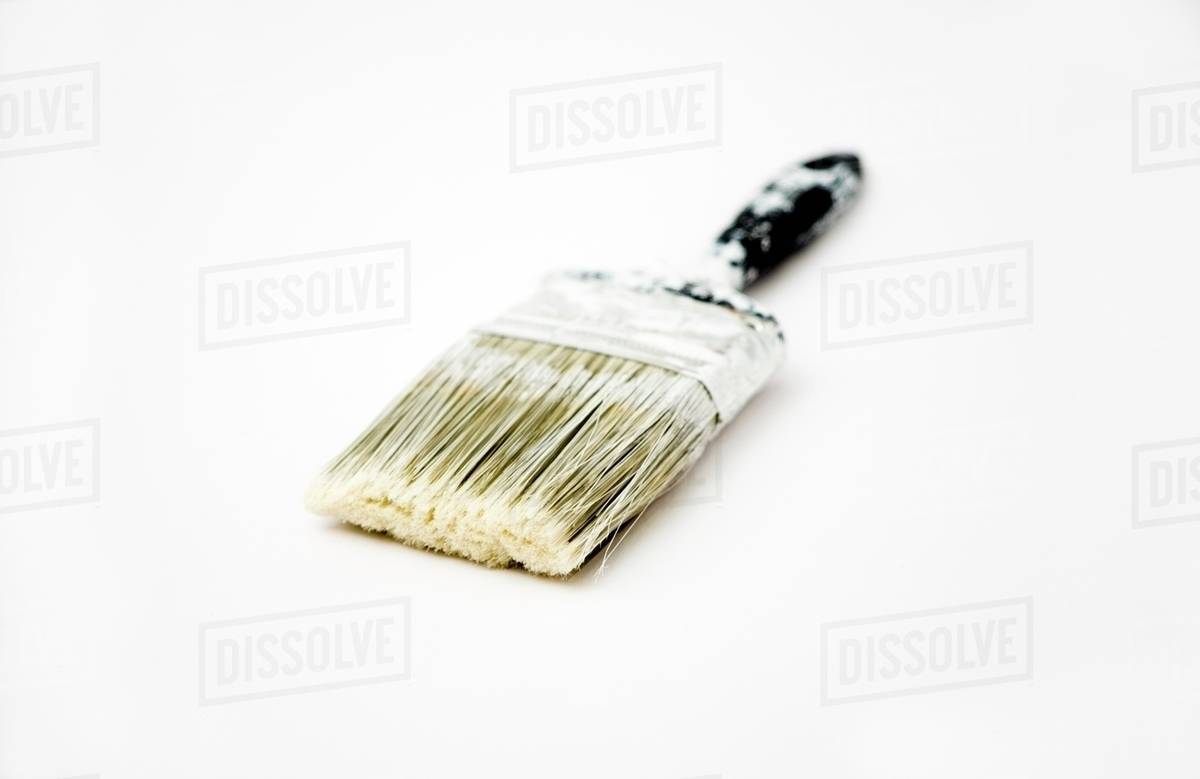 Paint Brush With White Paint Stock Photo Dissolve