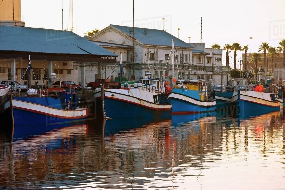 Fishing Boats, Victoria Wharf, Cape Town, South Africa Stock Photo