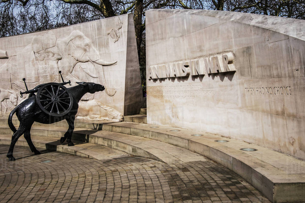 Animals in War Memorial in Hyde Park; London, England Stock Photo
