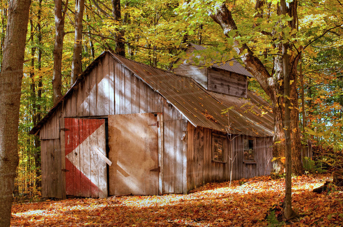 Sugar house; Roxton Pond, Quebec, Canada Stock Photo Dissolve