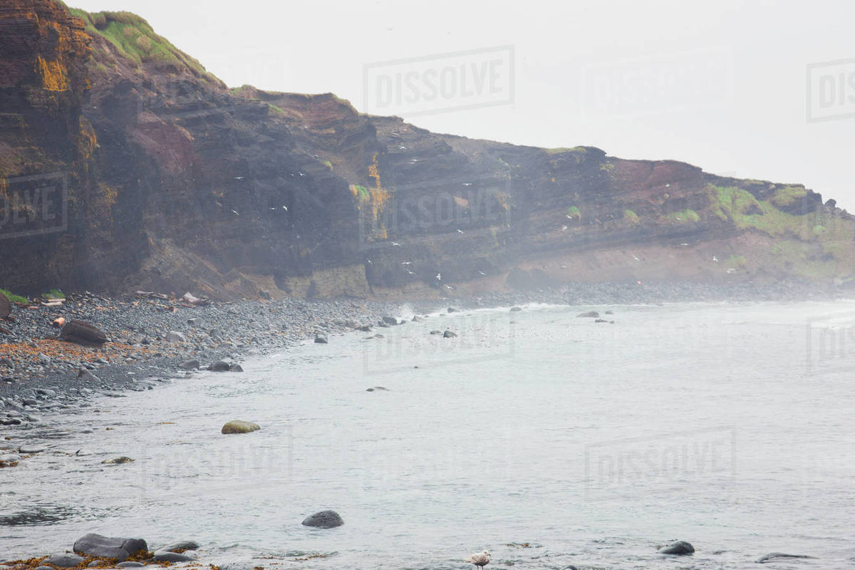 Eroding coastal cliffs of St. Paul Island along the Bering Sea, St