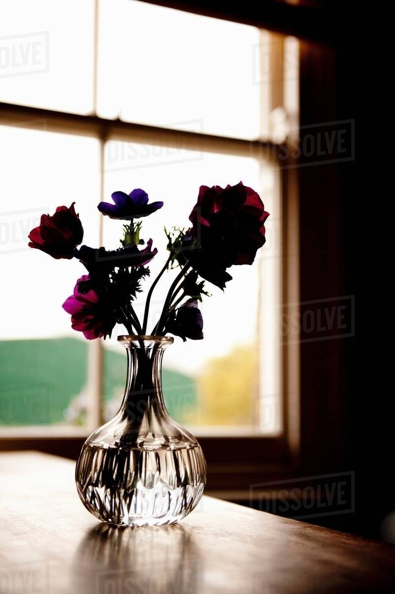 Vase of flowers on table Stock Photo Dissolve