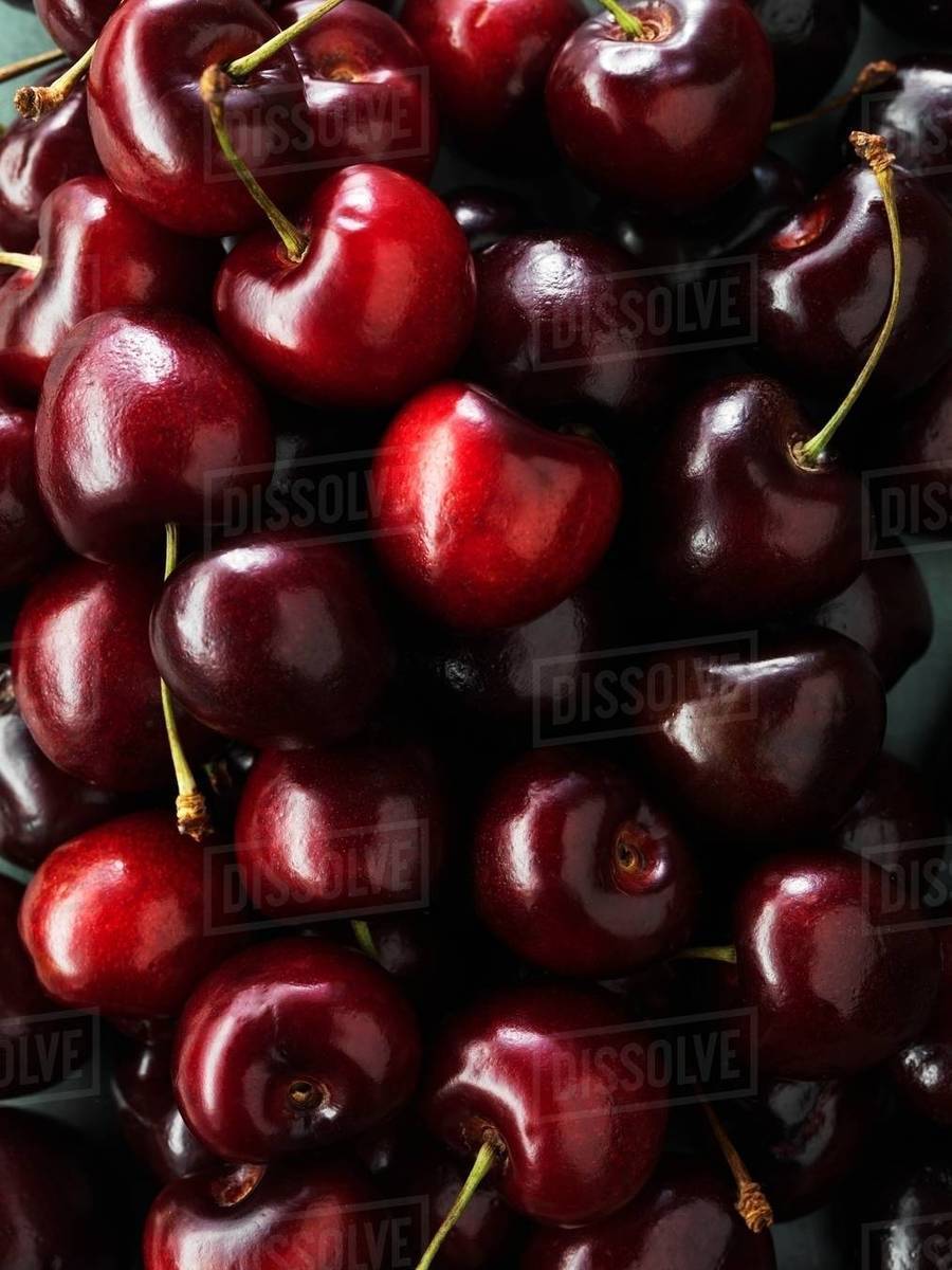Black cherries Stock Photo Dissolve