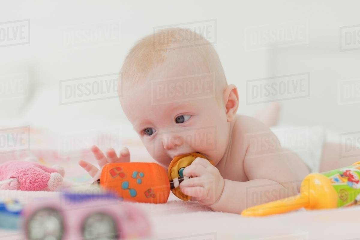 Baby chewing on rattle on blanket Stock Photo Dissolve