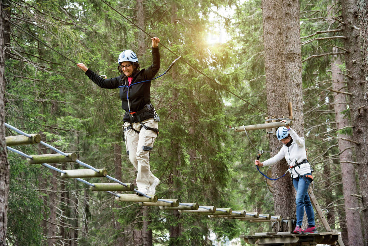 Friends in forest using high rope course Stock Photo Dissolve