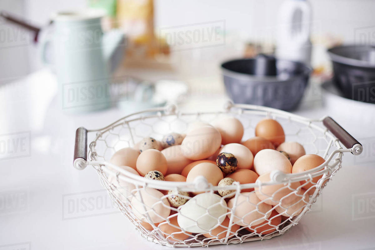 Eggs In A Basket Real Housemoms