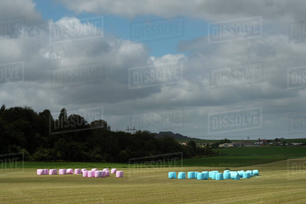 Hay stored in plastic wrapping in a field in the North of France