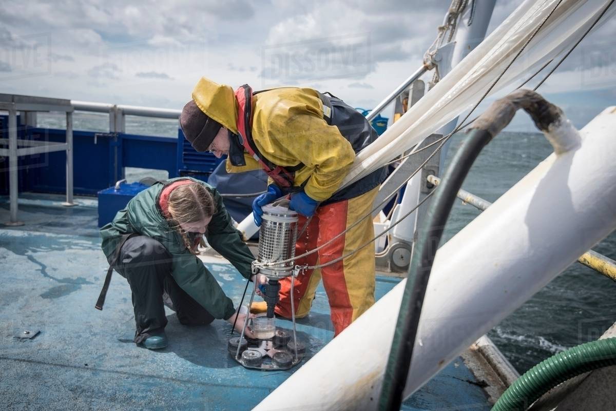 Marine biologist taking plankton samples from net on research ship