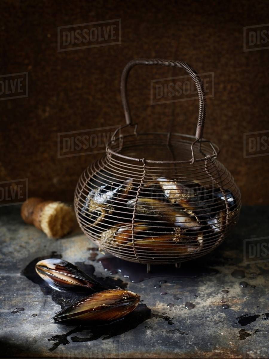 Mussels in basket Stock Photo Dissolve