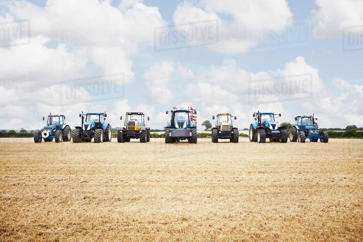 Tractor harvesting grains in crop field Stock Photo Dissolve