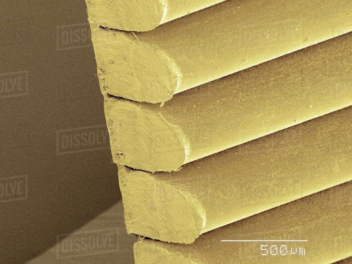 Coloured SEM of staples Stock Photo Dissolve