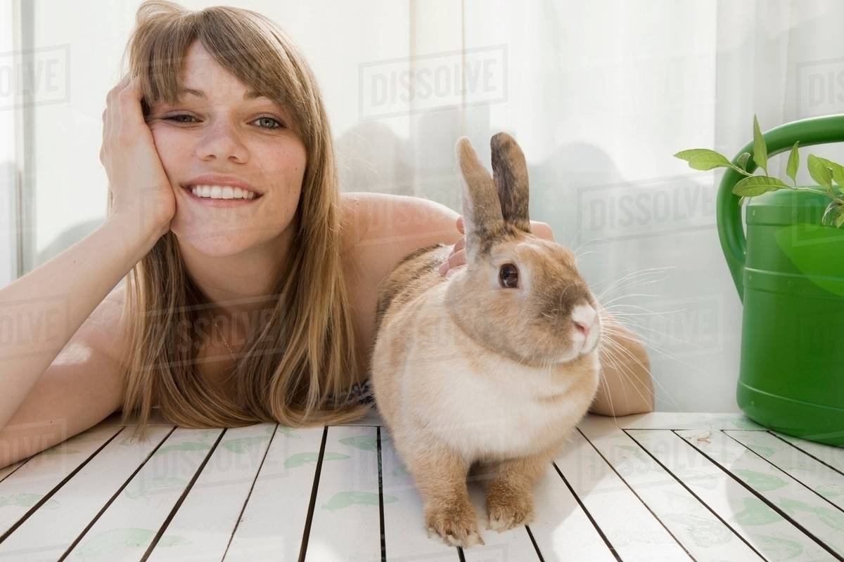 Young woman and a pet rabbit on a patio Stock Photo Dissolve