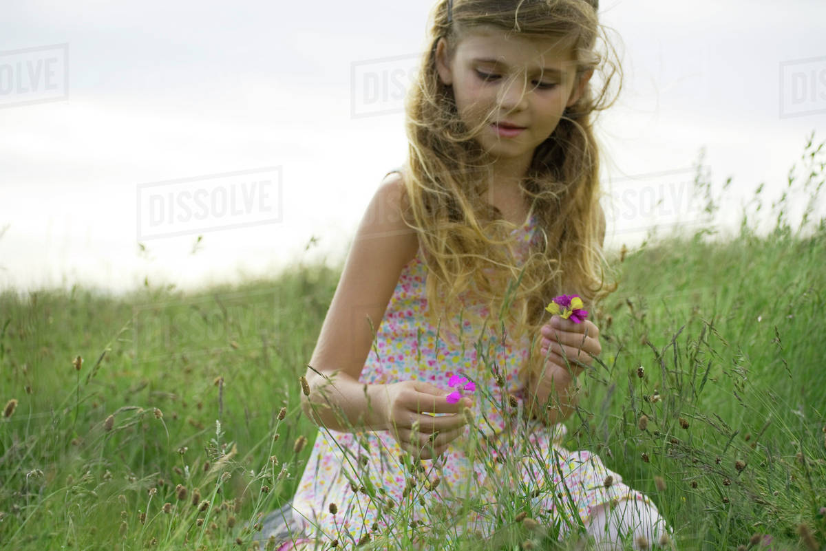 Girl picking wildflowers Stock Photo Dissolve