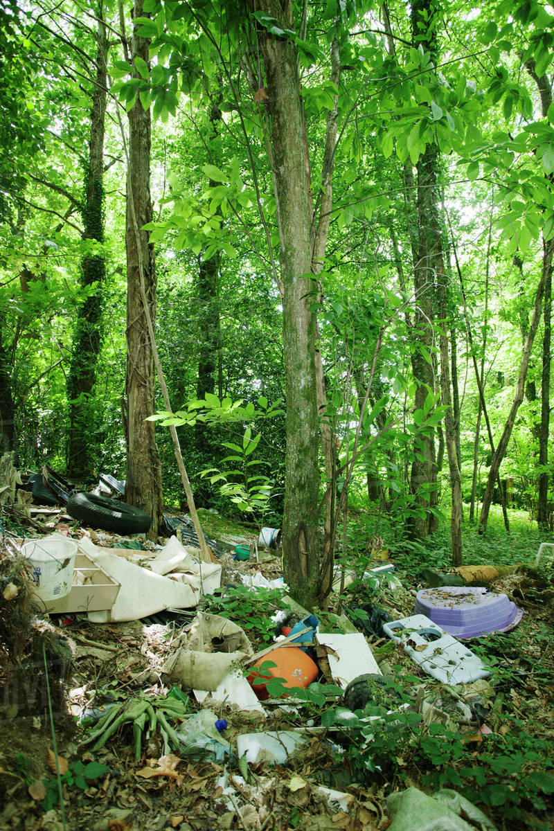 Garbage dumped in woods Stock Photo Dissolve