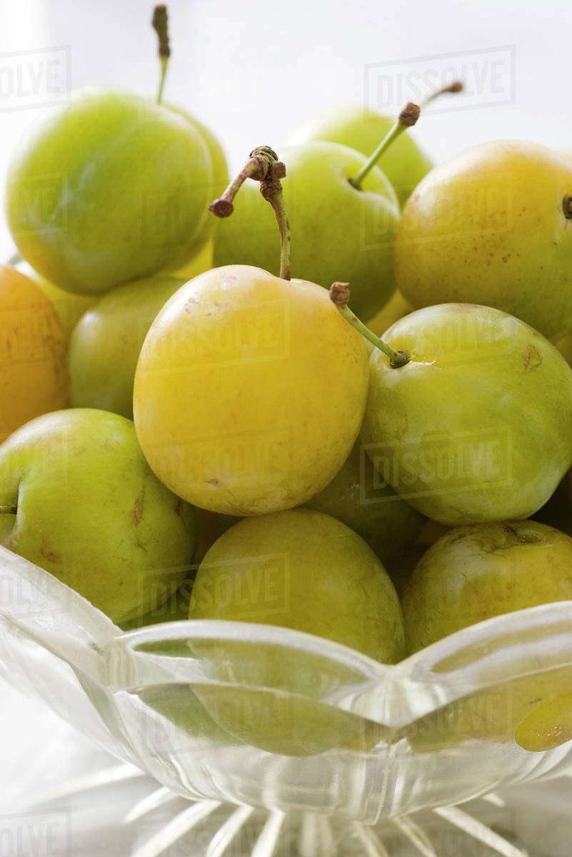 Fresh greengage plums Stock Photo Dissolve