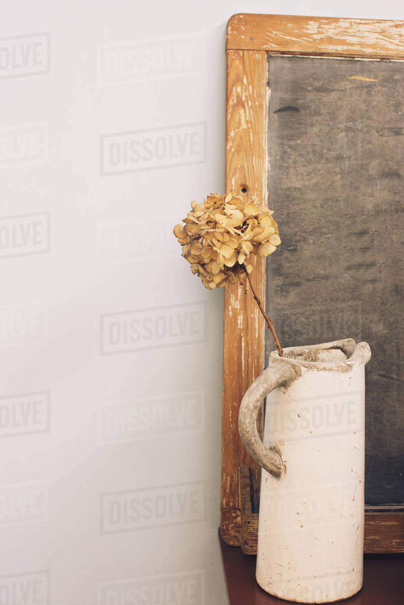 Dried Flower Pitcher main image 1