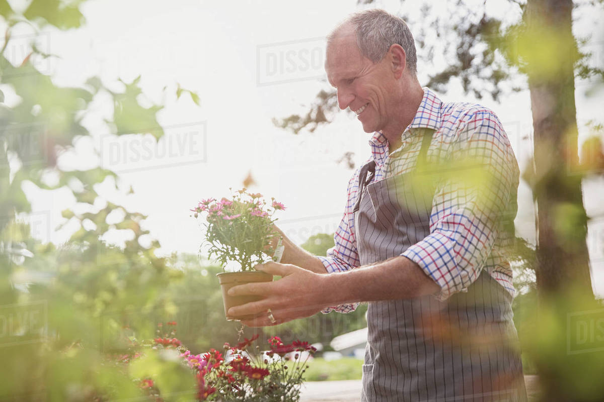 Smiling plant nursery worker examining potted flowers Royalty-free stock photo