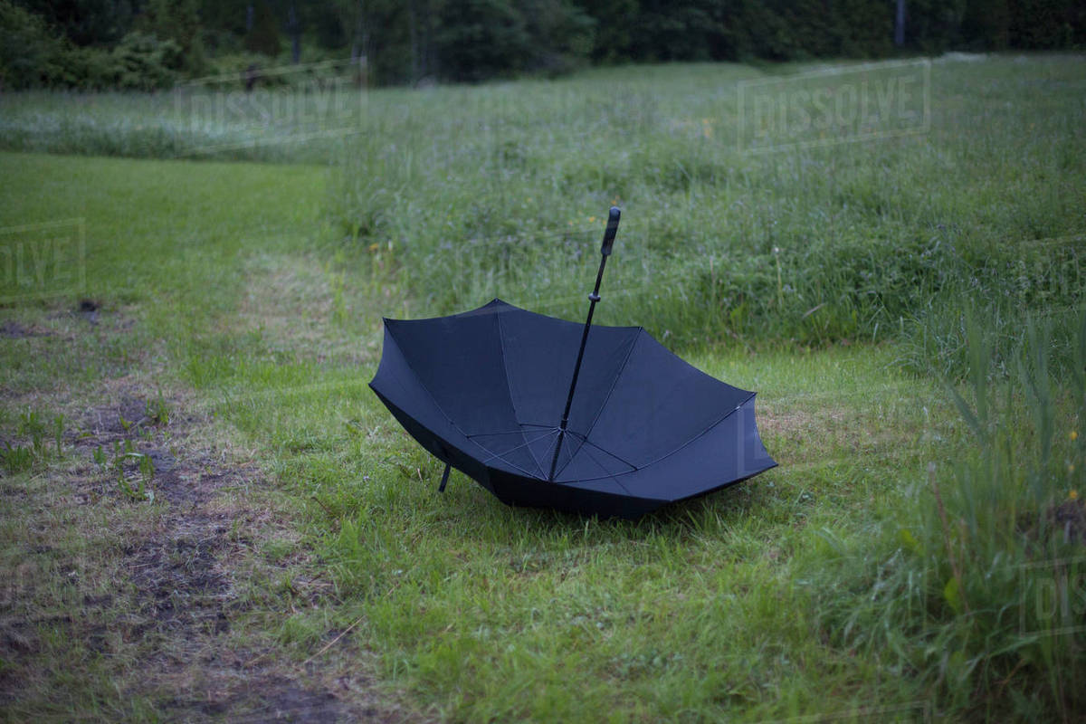 Upside down umbrella in grassy field Stock Photo Dissolve