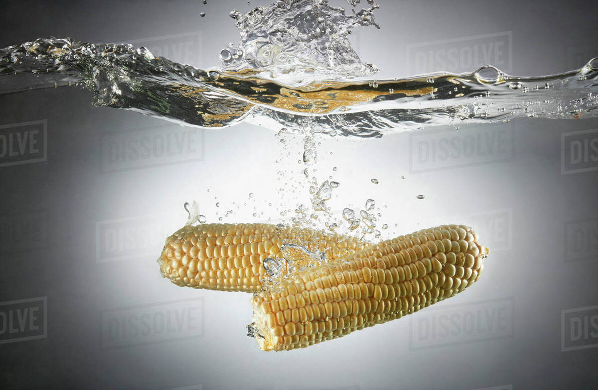 Closeup of sweet corns in splashing water Stock Photo Dissolve