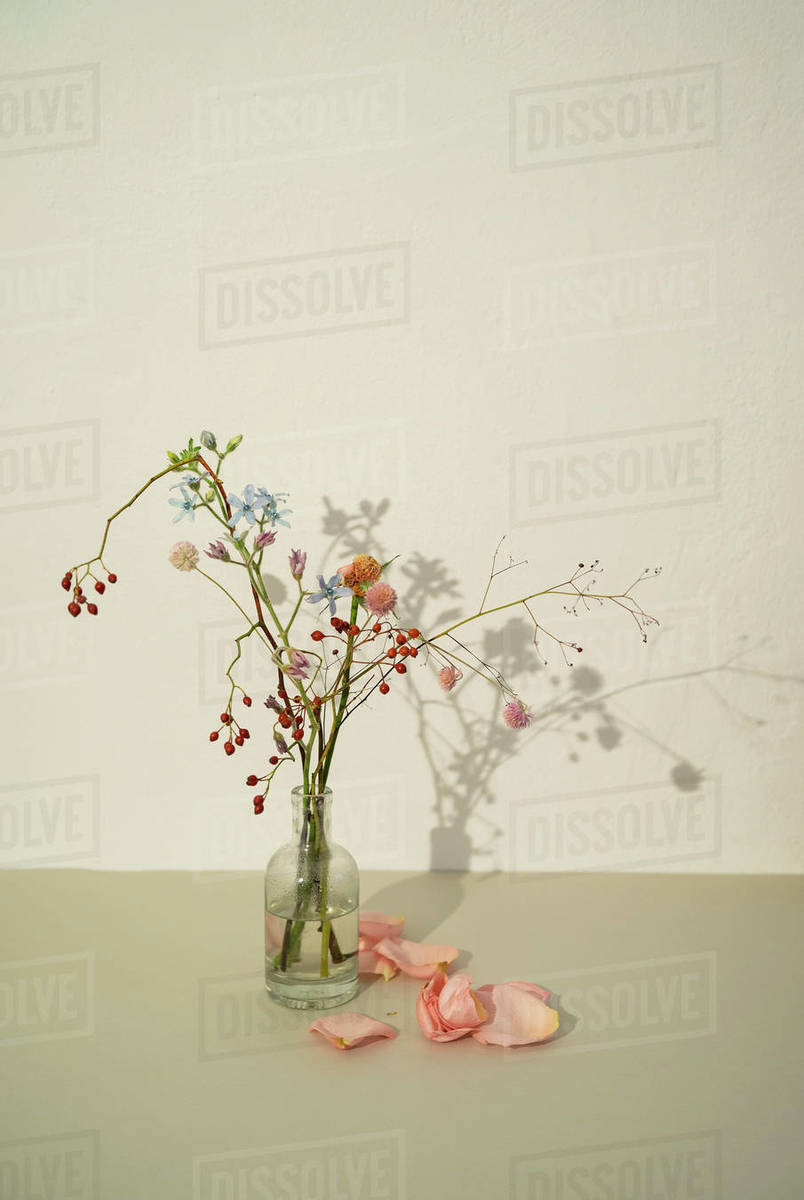 Wilting flower arrangement in vase Stock Photo Dissolve